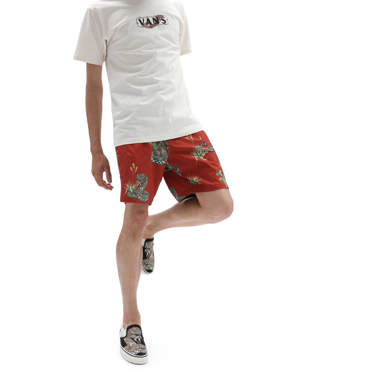 Bermude Vans Desert Snake